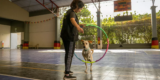 Mindful Training Techniques for a Calm, Balanced Dog