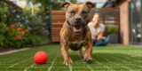 Fun Games That Improve Your Dog’s Mental Health